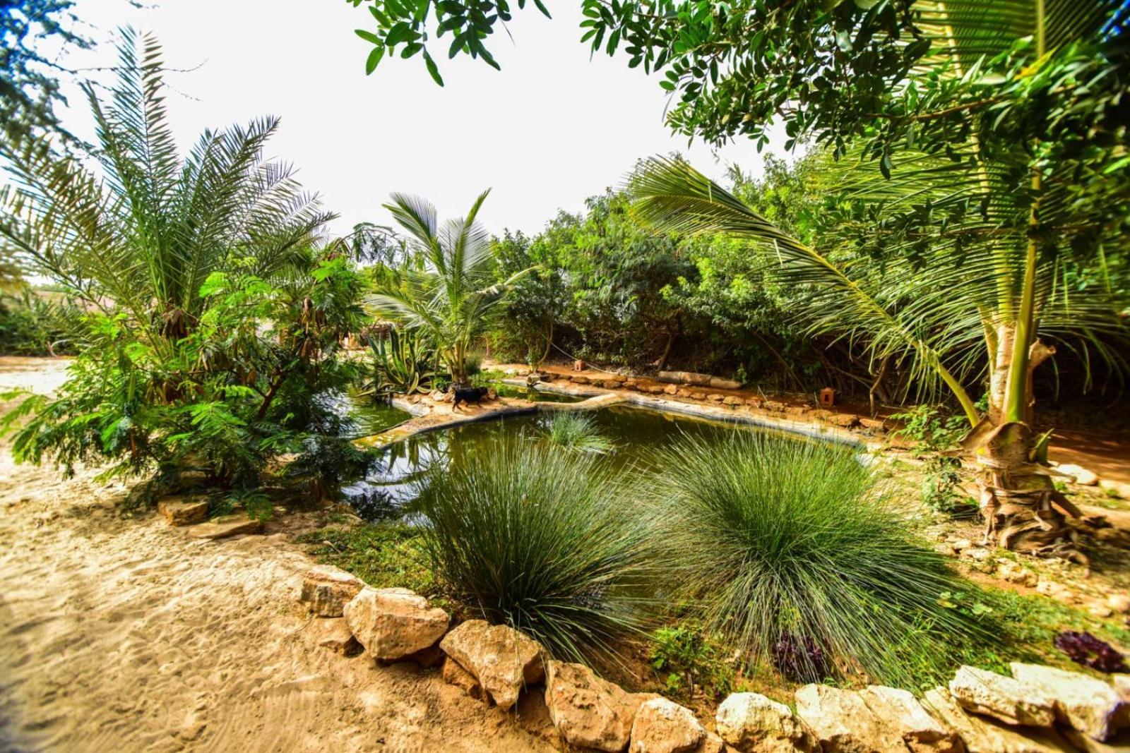 Dar Tawarta Guest House Dakhla Exterior foto