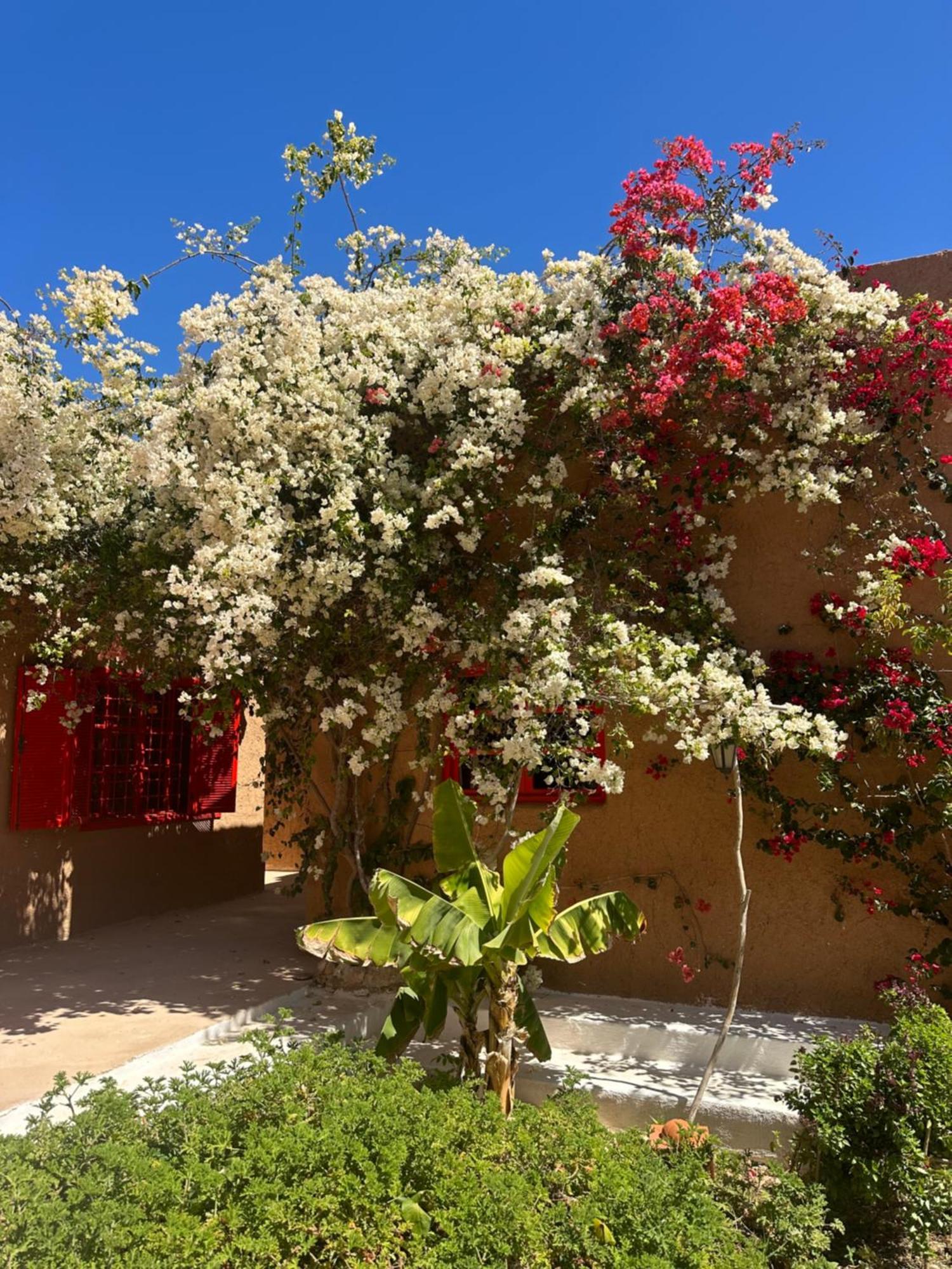 Dar Tawarta Guest House Dakhla Exterior foto