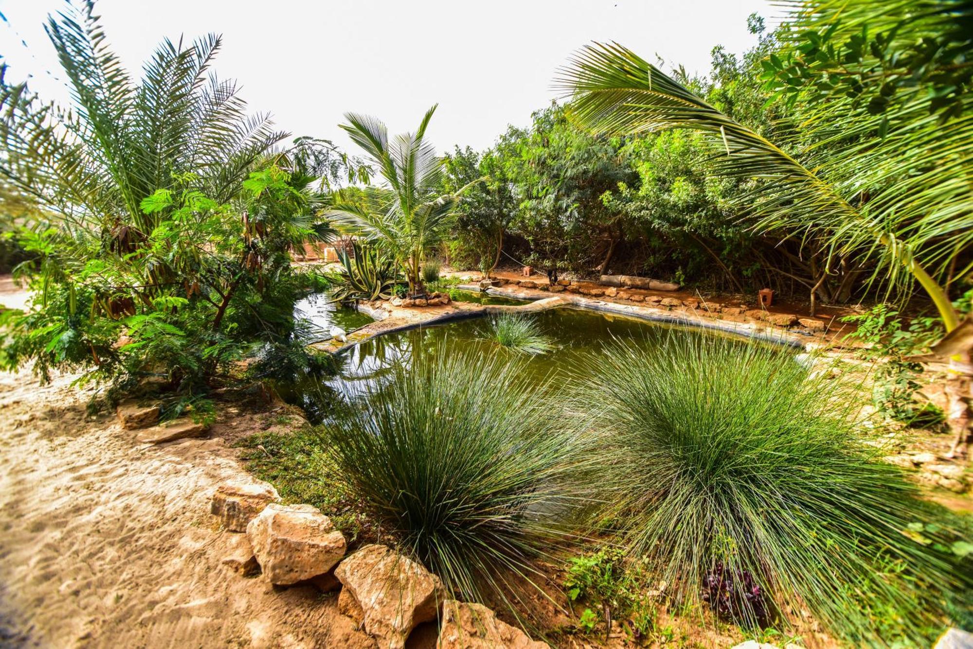 Dar Tawarta Guest House Dakhla Exterior foto